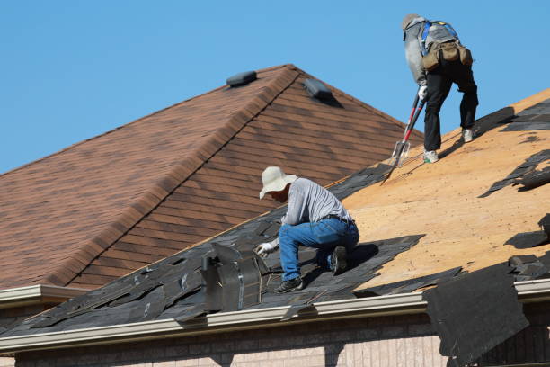 Best Asphalt Shingle Roofing  in Meadowlakes, TX